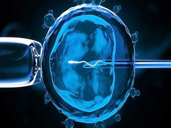 试管促排卵是通过药物控制卵泡发育