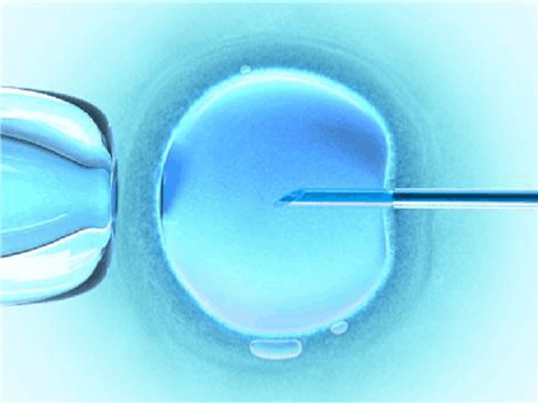 通常情况下内膜厚度要达到8-12mm才能移植冻胚