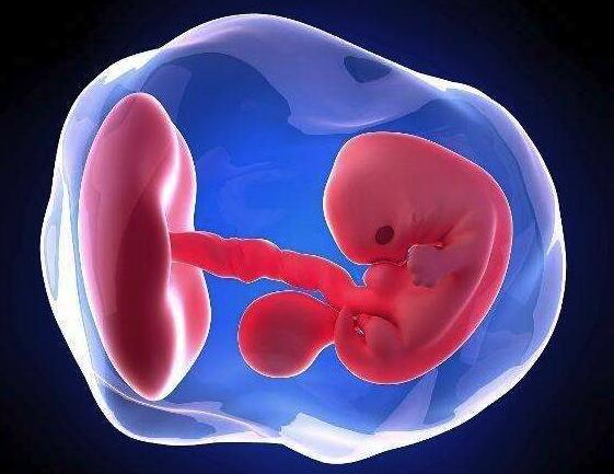 胚胎阶段发育不好生出的孩子有可能不健康