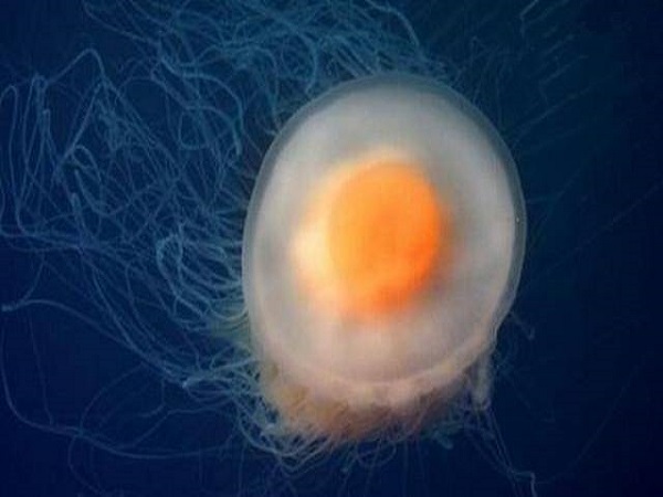 试管移植19天女性子宫会随着胚胎的发育而增大