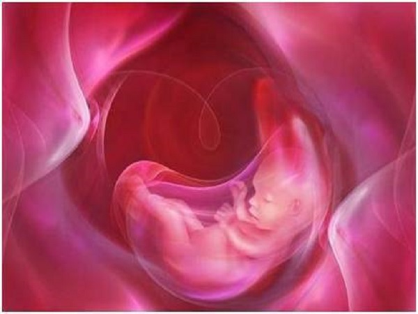 囊胚移植第十天尿液发红可能是胚胎着床成功的表现