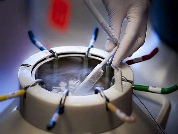 冷冻胚胎技术是辅助生殖中的一种