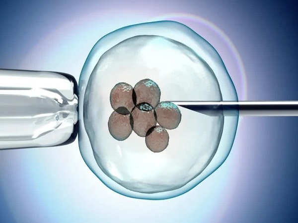 试管月经25天移植胚胎是正常的