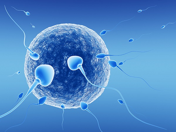 鲜胚移植是比较常用的