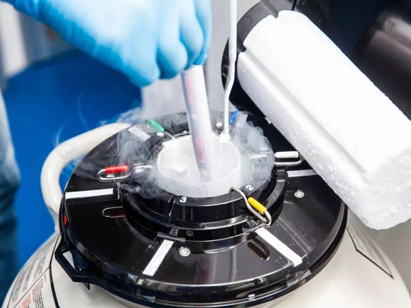 冻胚移植是试管婴儿中的常用方式