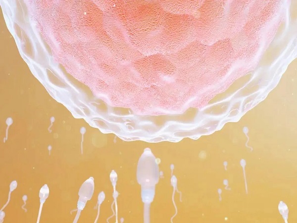移植后喝冷水肚子疼不一定会影响胚胎着床