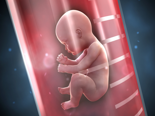 试管婴儿是否与父亲有血缘关系取决于精子来源