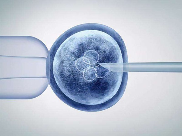 没有原核的胚胎也是可以养囊成功的
