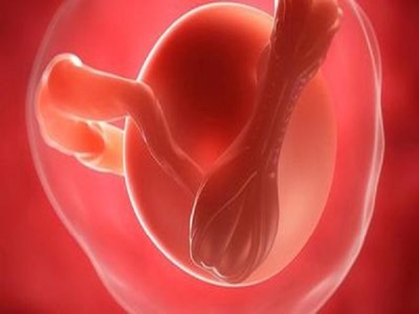 试管移植后的第12天胚胎可能正常着床了