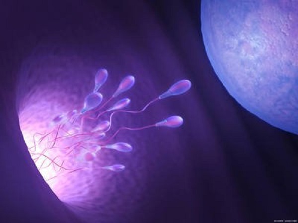 试管长方案适用于卵巢比较好的人群