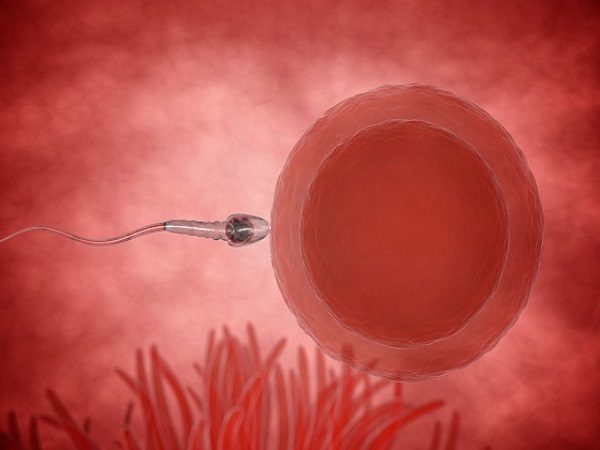 囊胚移植后绒促几点注射需视患者情况而定