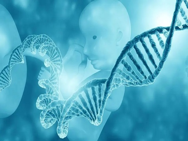 三代试管婴儿也称胚胎植入前遗传学诊断/筛查