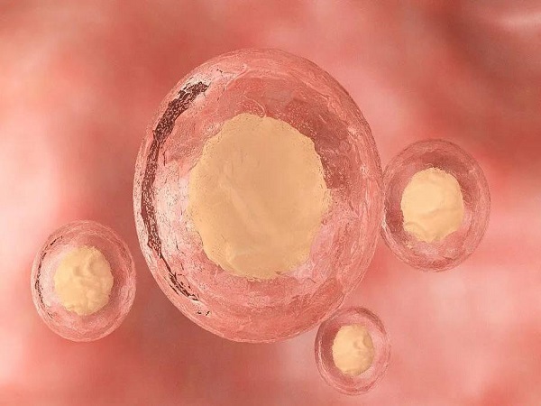 体外培养三天的4细胞1级胚胎质量普遍不高