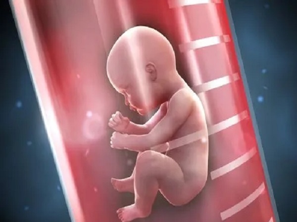 试管移植后胚胎长得慢是不正常的