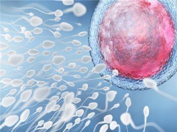 胚胎移植后口服孕激素是为了保胎