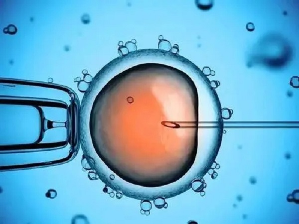 宫腔镜术后移植冻胚的成功率不低