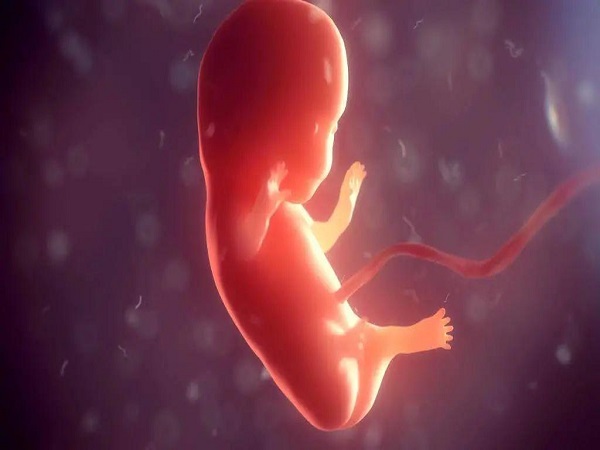 胚胎生化妊娠与母体因素有关