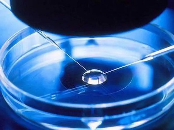 试管清宫第二个月可以移植胚胎