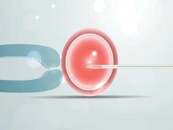 试管移植两个囊胚怀双胎的几率大