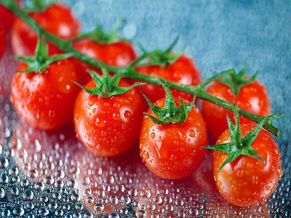 备孕减肥期间可以吃一些小番茄