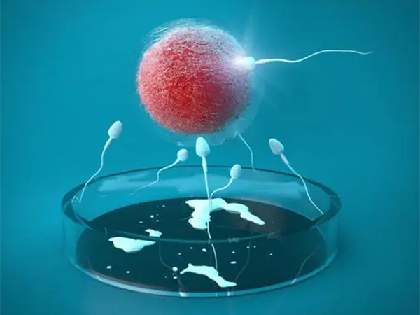试管婴儿移植放入三个胚胎能成活几个因人而异