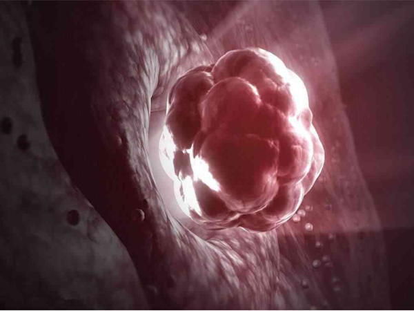 胚胎着床成功后患者身体会有一定变化