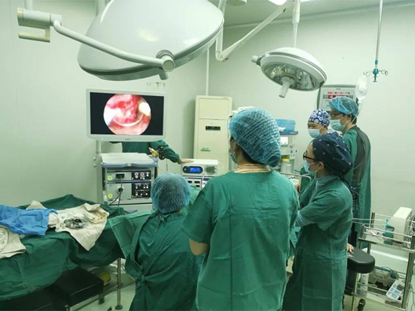 宫腔镜术后月经恢复正常即可进行胚胎移植手术