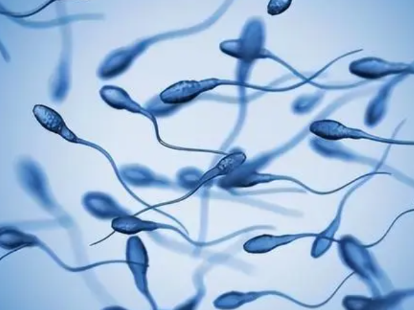 男性精子畸形率DFI24可以做一代试管