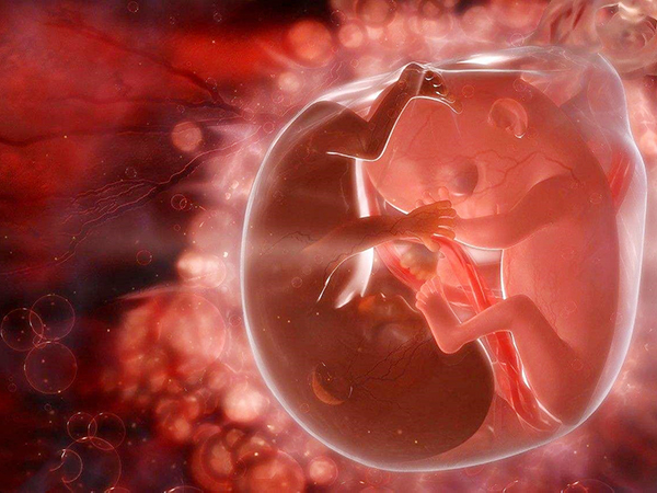 4AA囊胚分裂为双胚的几率比较小