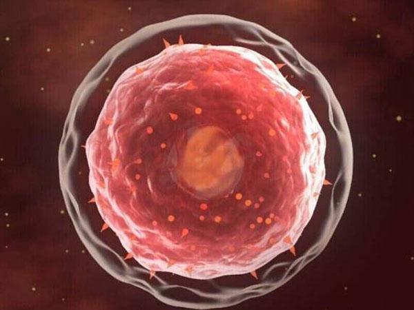 扩增失败是指胚胎在体外培养过程中未能成功发育到囊胚阶段