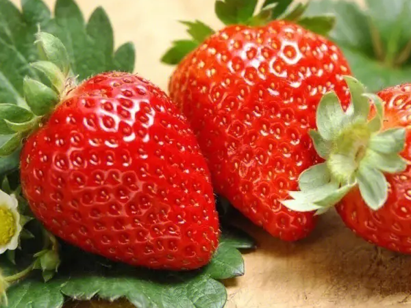 试管冻胚移植14天之后可以适当的吃一些草莓