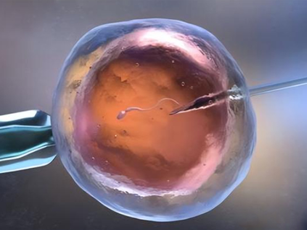 甲亢会影响胚胎发育