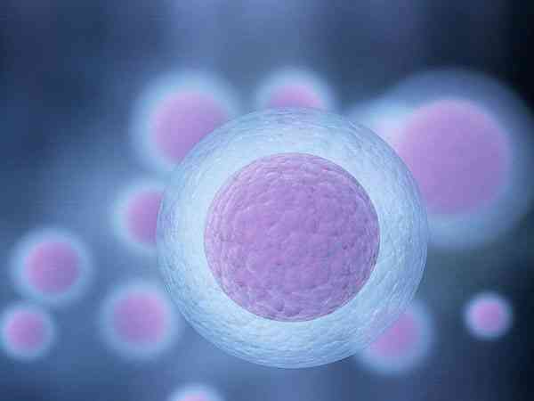 一般卵巢中会有三到十个窦卵泡