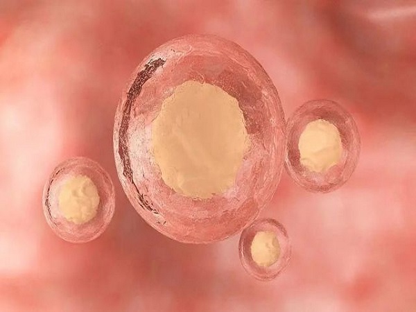 囊胚测出来一直不加深可能是胚胎发育有问题