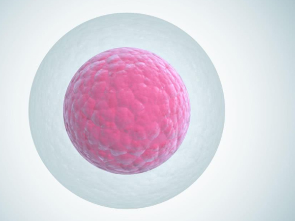 促排卵期间的药物会导致结节变性
