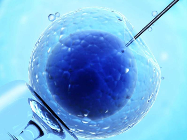 试管婴儿有三种胚胎移植方式