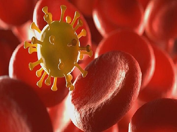 风疹病毒通常不会影响囊胚移植后着床