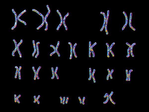 无创DNA可以检查染色体情况