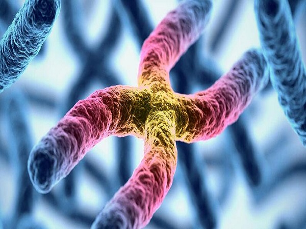 基因突变是引起染色体重复原因之一