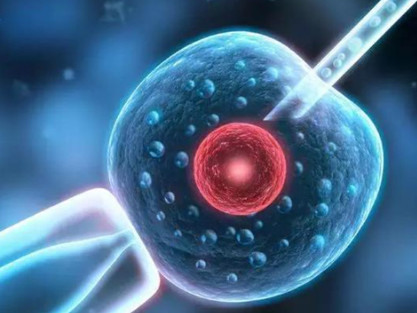 黄体功能不全会影响胚胎发育