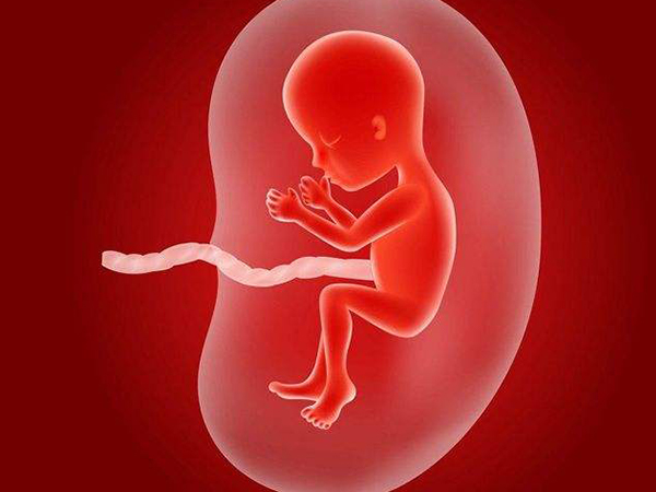在孕晚期胎儿头部会朝下