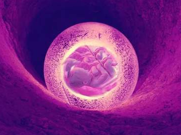 胚胎着床后的感觉因人而异