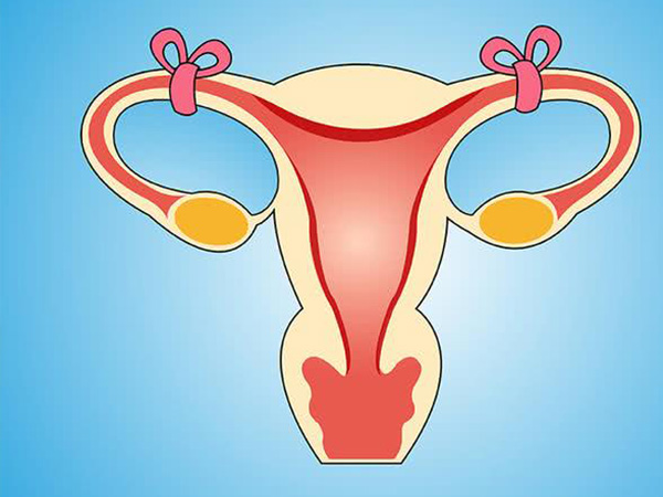 切除输卵管对月经没有影响