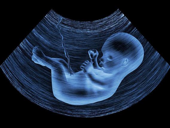 孕晚期胎心在150正常