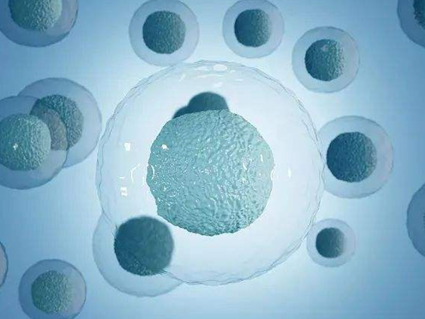 子宫内膜结核会影响胚胎着床率