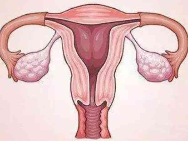 子宫内膜厚可以吃保健品