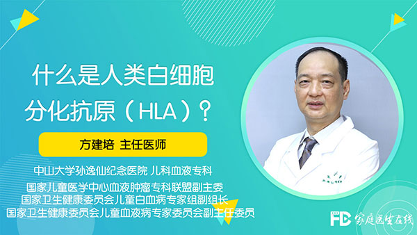 什么是人类白细胞分化抗原（HLA）？