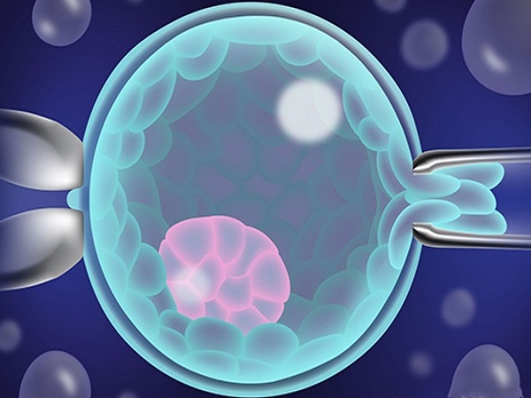 微刺激方案成功配出来一级胚胎的质量比较好