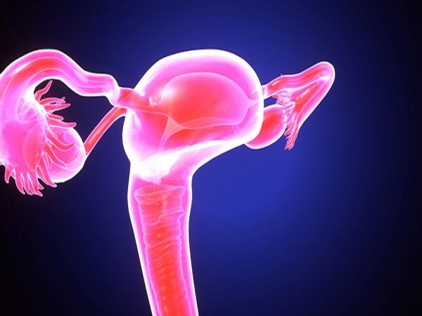 子宫血流是评估子宫内膜容受性的指标之一