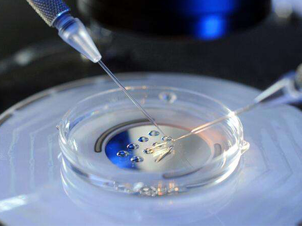 二代试管不会对胚胎进行筛选